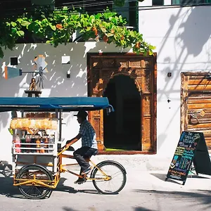 The Village Boutique Playa del Carmen